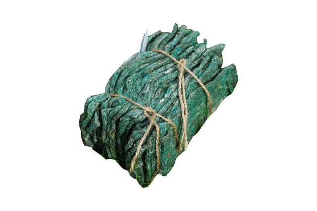 Typhlodromus pyri