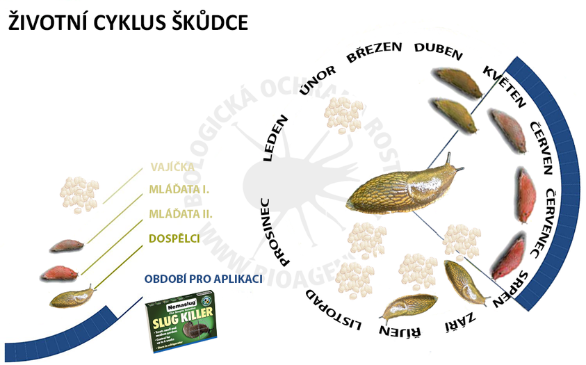 Možnost tvorby objednávek na biologický přípravek NEMASLUG (balení 12 a 30 mil.)