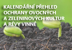 NEZAPOMEŇTE, ŽE..