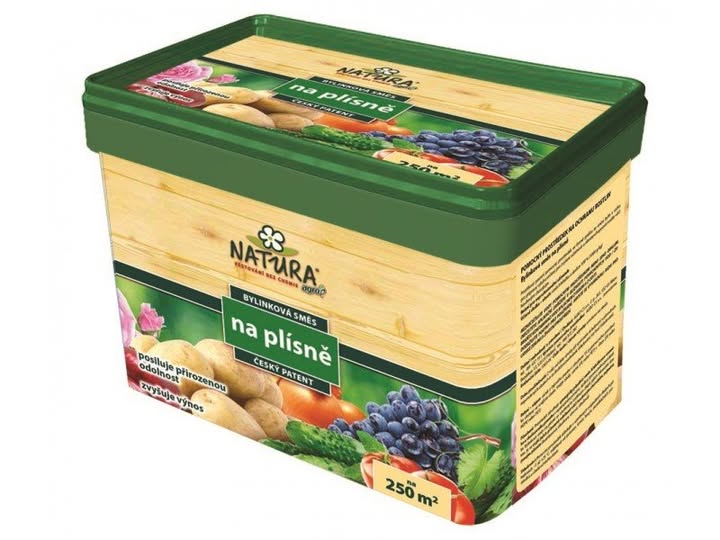BYLINKOVÁ SMĚS NA PLÍSNĚ