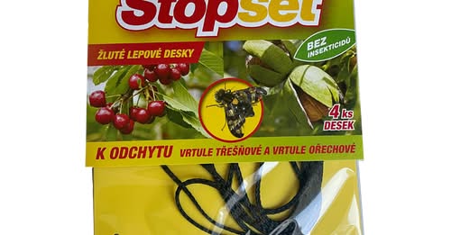 Chřadne Vám vzrostlý ořešák před očima?